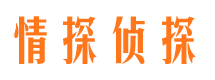 蕉城外遇出轨调查取证